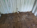 20 ft Standard Shipping Container w/ Small Hole in floor - CAIU3332295 - Image 5